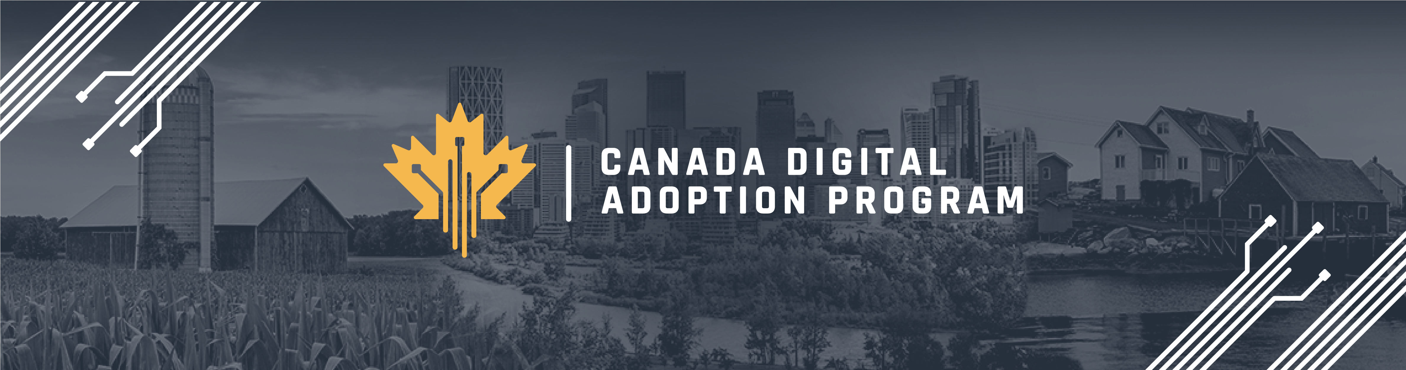 Canada Digital Adoption Program (CDAP)